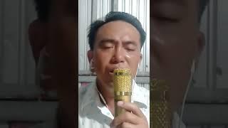 Na Hồng cover # Linh hồn tượng đá