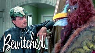 Tabitha Has Conjured A Magical Bird! | Bewitched