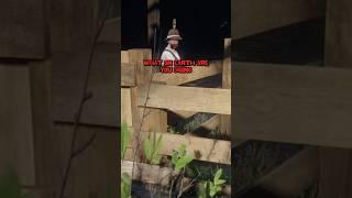 RDR2 funny NPC interaction #rdr2shorts #reddeadfunny #rdrd2 #reddeadredmption2 #rdrfunny