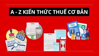 7 PHÚT NẮM TRỌN KIẾN THỨC VỀ CÁC LOẠI THUẾ