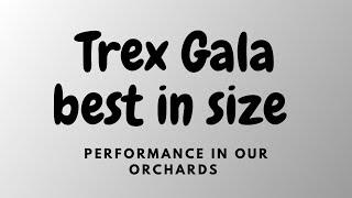 Trex gala one of the best gala for size .