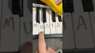 How to make a pianist HaPpY #piano #mustard
