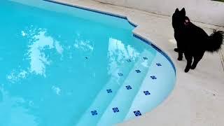 Missing Footage from The Vlog Fancy Living her Best Life