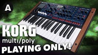 Korg MultiPoly - Playing Only