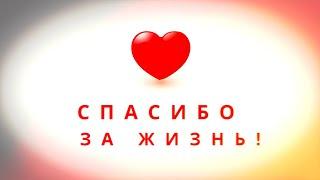 Ничего не предвещало