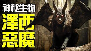 【UMA丨澤西惡魔】美國唯一指定惡魔，給美國民眾帶來大量恐慌和恐怖故事！羊頭馬蹄蝙蝠翅膀的澤西惡魔到底是個什麼樣的生物？丨神秘動物學UMA羊駝解說丨黑毛羊駝