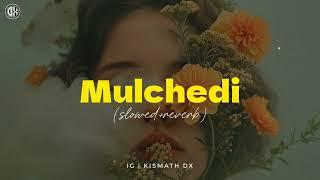 Mulchedi (slowed+reverb) Snehichorum Theeyayi Poyi | Haniya Nafisa