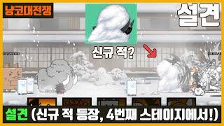【냥코대전쟁】 설견 / 총 4개의 스테이지(2025년 리뉴얼 버전)