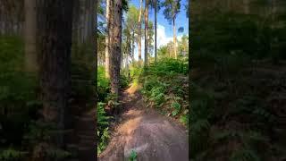 X Trail Gap Jump - Hanchurch MTB
