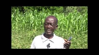 Sustainable agriculture in Tharaka Nithi county