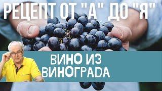 Вино из винограда. Виноградное вино за 7 шагов. Простой рецепт для новичков. / Домашнее вино.