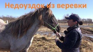 Как быстро из куска верёвки сделать недоуздок