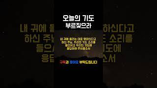 오늘의기도240208 #매일기도 #오늘의기도 #따라하는기도  #듣는기도