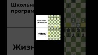 1 сентября  #chess