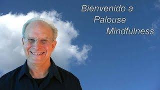 Bienvenido a Palouse Mindfulness - Dave Potter