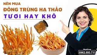 Nên mua Đông trùng hạ thảo tươi hay khô - Cách chọn mua Đông trùng hạ thảo chất lượng cần biết