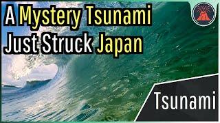 A Mystery Tsunami Just Struck Japan; What Caused this Sudden Wave?