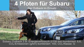 (Reupload) 4 Pfoten für Subaru