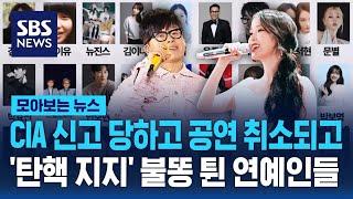 CIA 신고 당하고 공연 취소되고…'탄핵 지지' 불똥 튄 연예인들 / SBS / 모아보는 뉴스