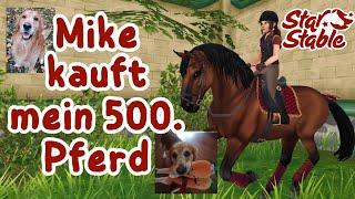 Mein Hund kauft mir ein Pferd| SSO | Mein 500. Pferd Pferdekauf