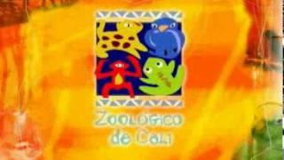 Zoologico de Cali