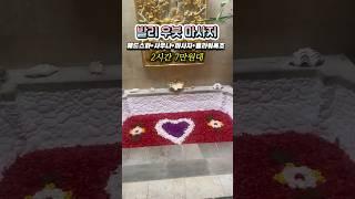 우붓에 가신다면 여기부터 예약 #우붓여행  #발리여행
