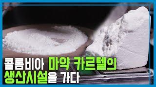 마약왕 에스코바르의 도시, 콜롬비아 메데인을 가다 (KBS_211회_2021.04.10.방송)