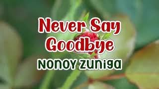 Never Say Goodbye by Nonoy Zuniga - karaoke