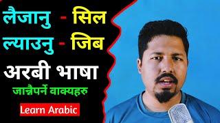 Arabic Language Learning | Most Used Arabic Phrases | Learn Arabic in Nepali | Saila bhai