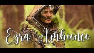 Ezra ASMR Prospect Outdoor Ambience Pedro Pascal (with talking)