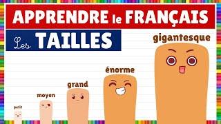 Vocabulaire : Les tailles