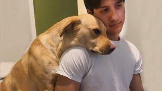 When your dog loves your boyfriend more than you 