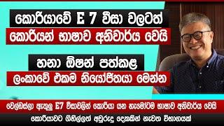 E7 වීසා වලටත් කොරියන් භාෂාව අනිවාර්ය වෙයි | මෙන්න එකම නියෝජිතයා | E7 Visa | Korean new job | Sinhala