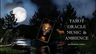 Tarot & Oracle Music & Ambience with the Cosmic Wild Oracle Deck in an Enchanted Forest by Cocorrina