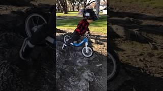 Balance Bikes are Fun!  #kidsonbikes #bornformtb #learntoride #balancebike