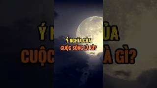 Ý nghĩa của cuộc sống là gì ?
