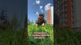 Как совмещать все?