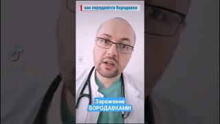 Как передаются бородавки? #бородавки #папилломы #заражение #инфекции