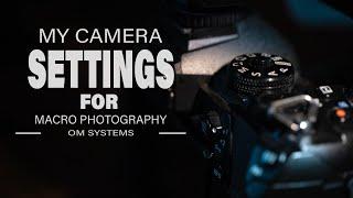 My camera settings for macro photography!