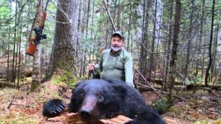 Amur bear hunt with Sergey outfitter