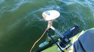 Watersnake trolling motor amp draw tests - side mounted on kayak