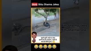 Bittu Sharma Jokes #Bittusharmajokes #jokes #memes #comedy #shorts #viral