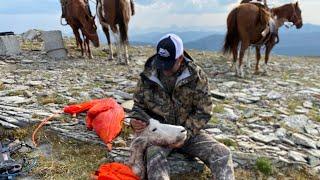 A 57 Year Olds Epic Mountain Adventure: LEH Mountain Goat Hunt