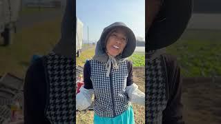 Buhay Farmer sa JAPAN