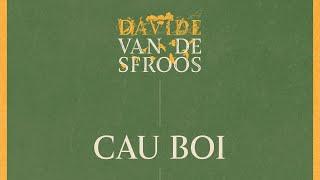 Davide Van De Sfroos - Cau Boi (Official Audio)