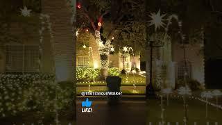 Quick Tour: Bentbrook Drive @ Round Rock, Texas #christmaslights2024  #neighborhood