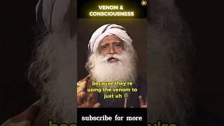 Sadhguru on Venom, Scorpions, and Consciousness — The Mystical Science of Reverberation