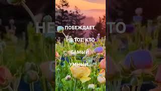 Побеждает не тот кто самый умный#успех#цитаты #саморазвитие#душа#рекомендации#мотивация#жизнь#победа