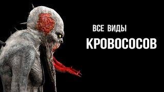 5 видов Кровососов - STALKER