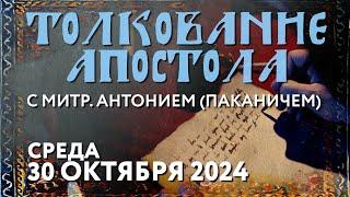 Среда, 30 октября 2024 года. Толкование Апостола с митр. Антонием (Паканичем).